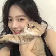 茶子来也