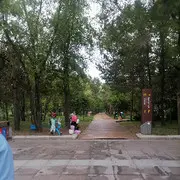 秋实e景