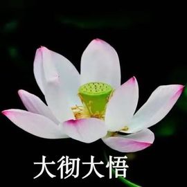 ❤️静心思语❤️的图片
