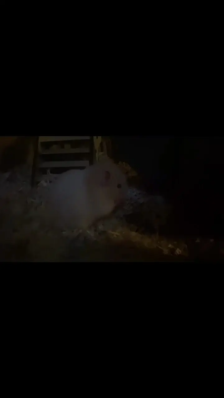 就*一下，气急败坏的
