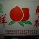 开心每一天ivp