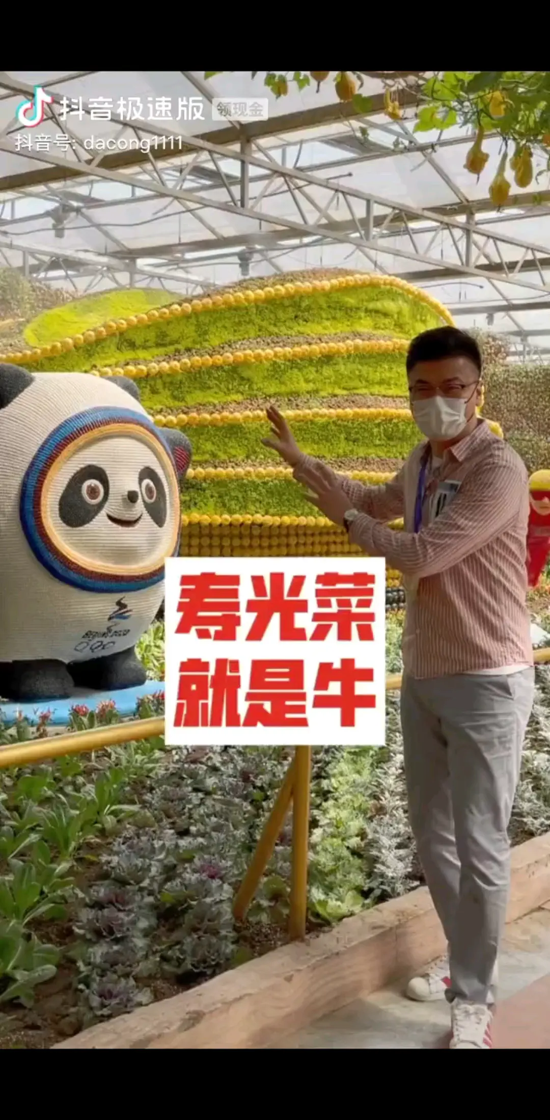 我想去看看