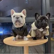 .、，，。，。