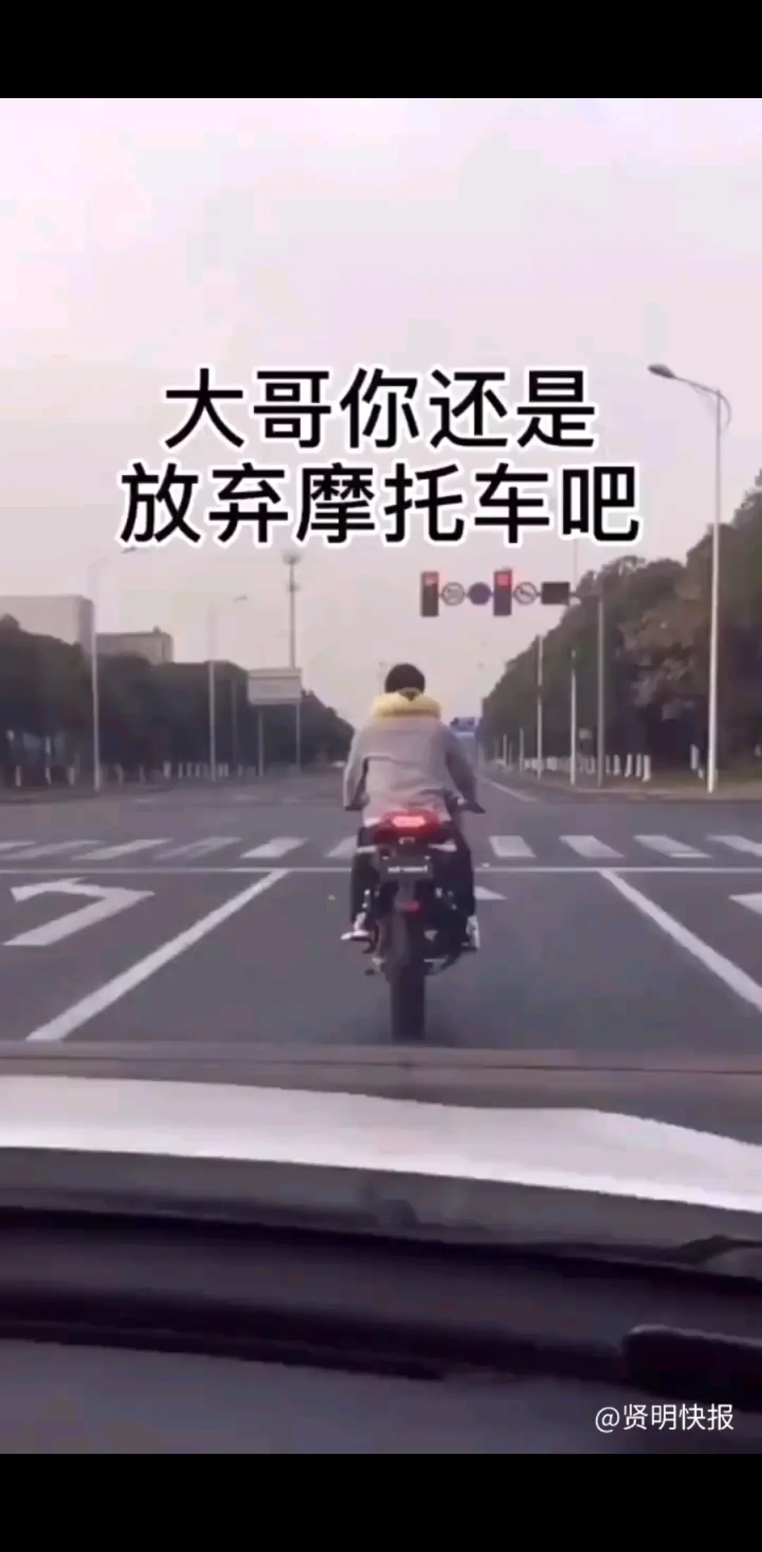 /淡定/淡定