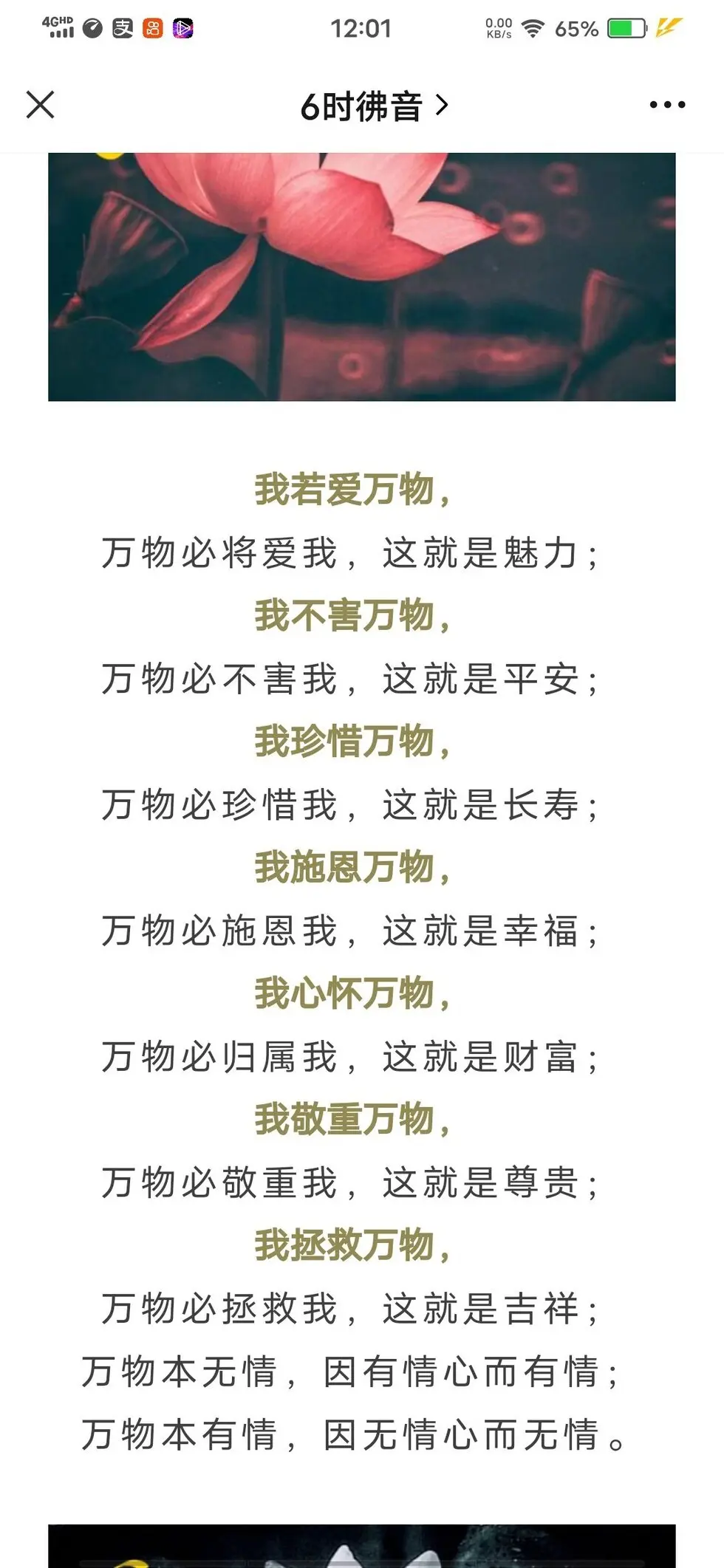 🌸允熙的主播照片