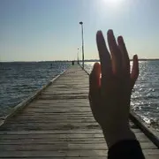 🐬羊羊🐬