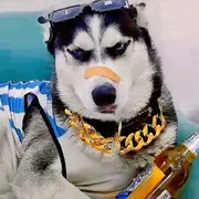 晨副，，，