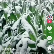 逍遥.188的用户头像