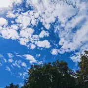 相识～偶然的用户头像