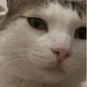 1114455