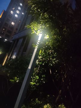 xy吴小优的图片