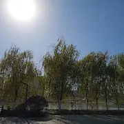 🍃小飞鱼🌾