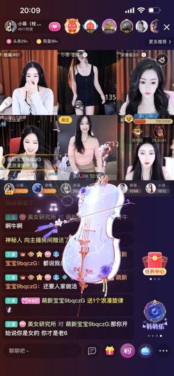 优雅菲🥑旺旺旺的图片
