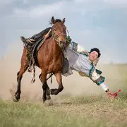 草原骑士。。。