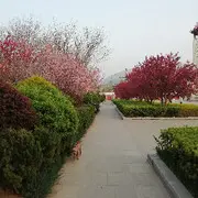 王～朝