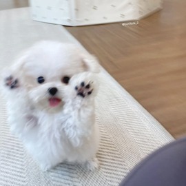 小瓜♡主播照片
