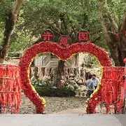 🌺为爱守护