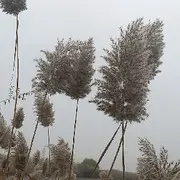 我曾♚来过♚这里