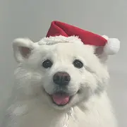 春风不解离人意