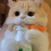 满屋澈