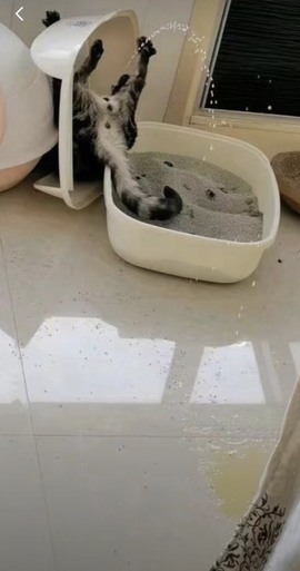 叫我靓仔呀的图片