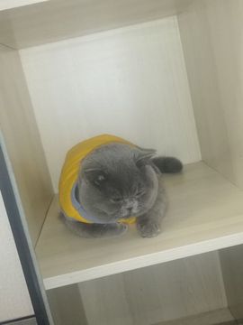 baby♥小木的图片