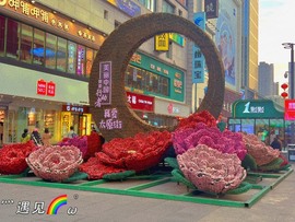 小雅ღ金牌代理丶➹的图片