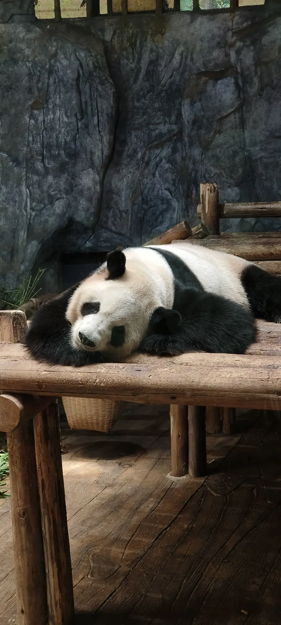 隨風的沙主播图片