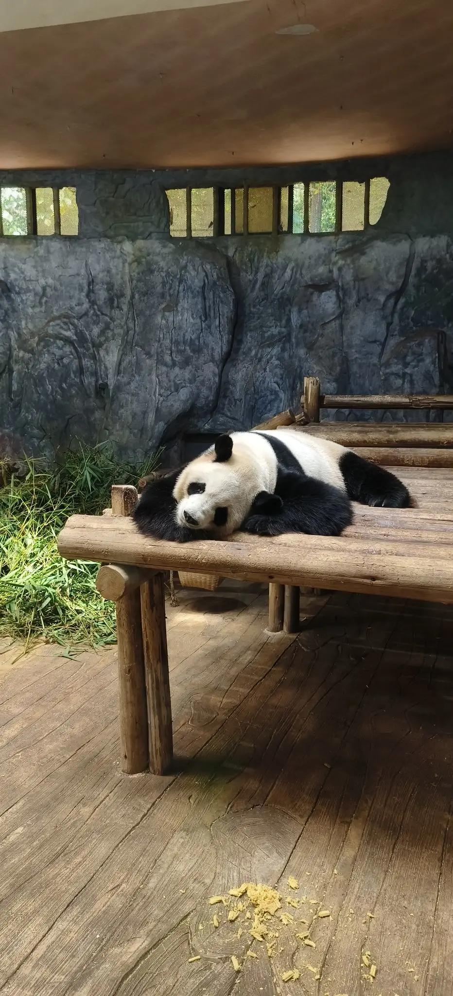 隨風的沙主播图片