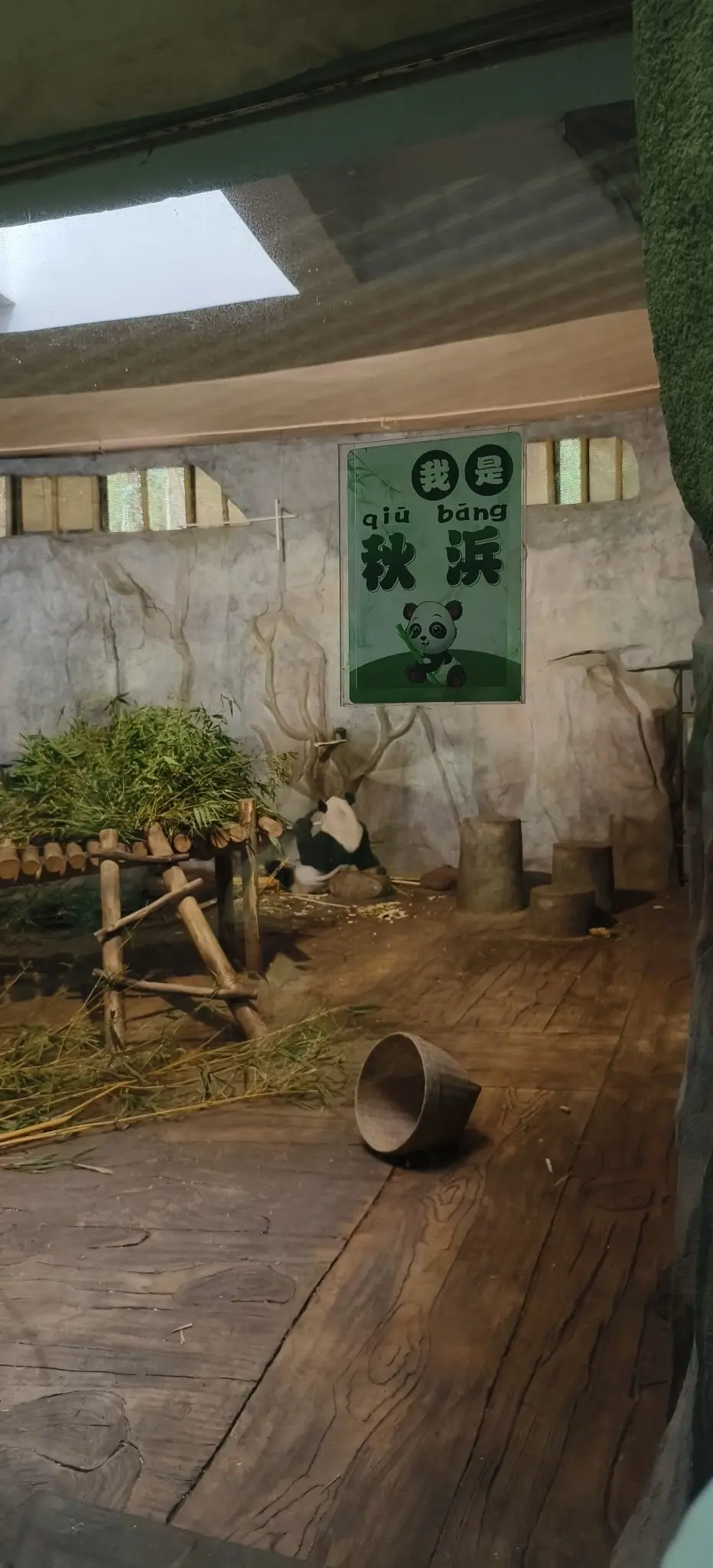 隨風的沙主播图片