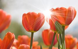 💞阳阳得意💞的图片