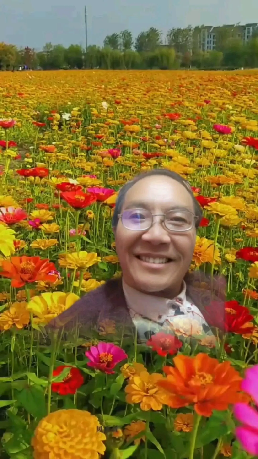 涛歌好声音的主播照片