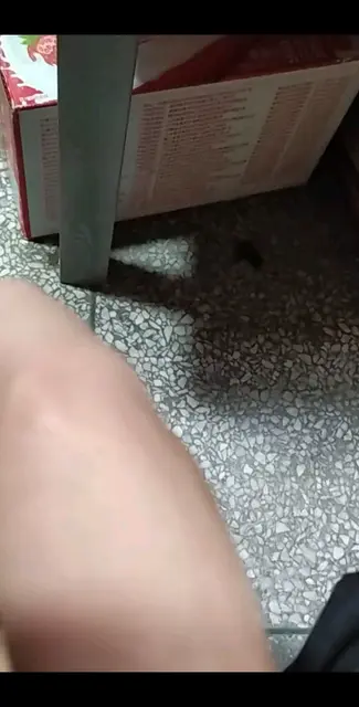 /狂笑学盘核桃