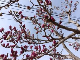 💞阳阳得意💞的图片
