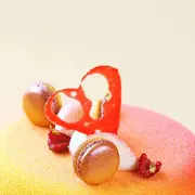 你的乐多