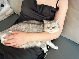 xy吴小优的图片