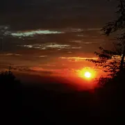 不奢求✨