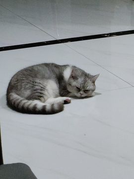 xy吴小优的图片