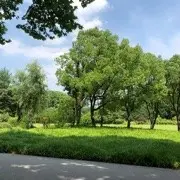 雨欣🏃‍♀️