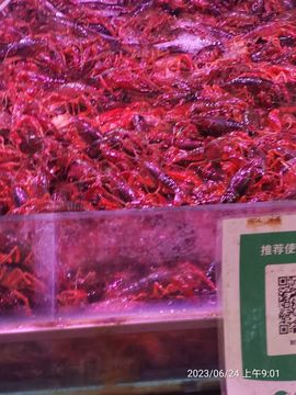 一凡../*的图片