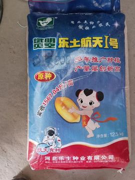 嘉宜.的图片
