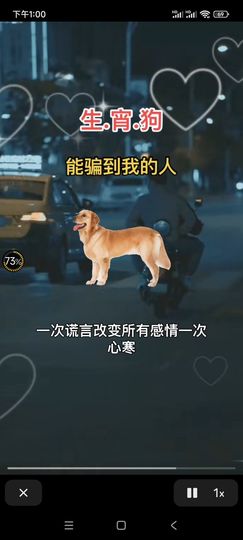 嘉宜.的图片