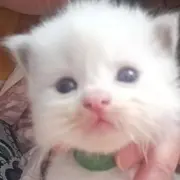 泽泽乖的用户头像