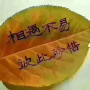 萌新！！！