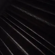 水中望月也逍遥