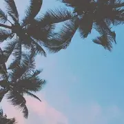 乌拉乌拉小金人