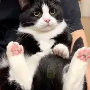 查无此人(^.^)/