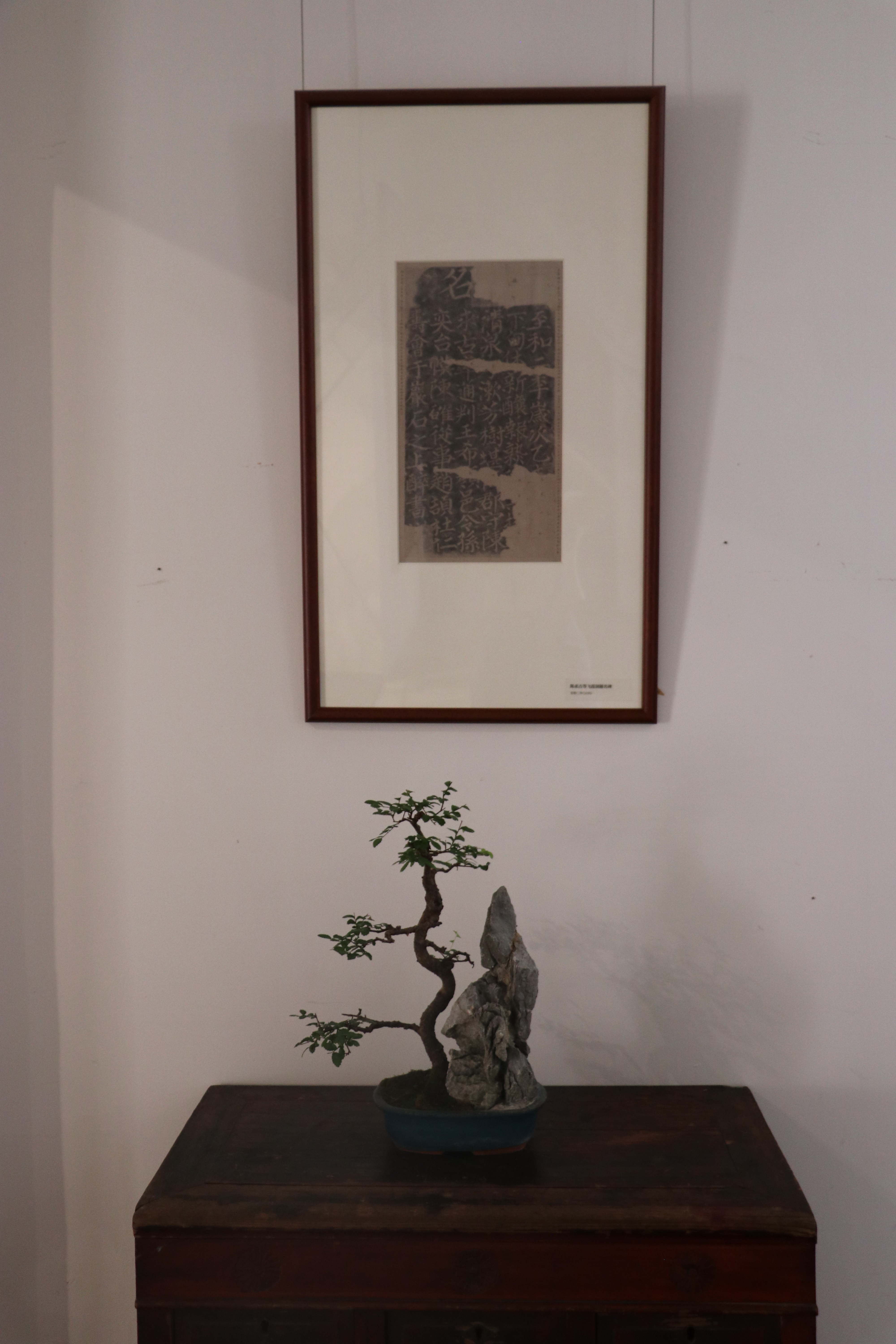 爱你鸭主播图片
