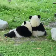鲁。和煦的风
