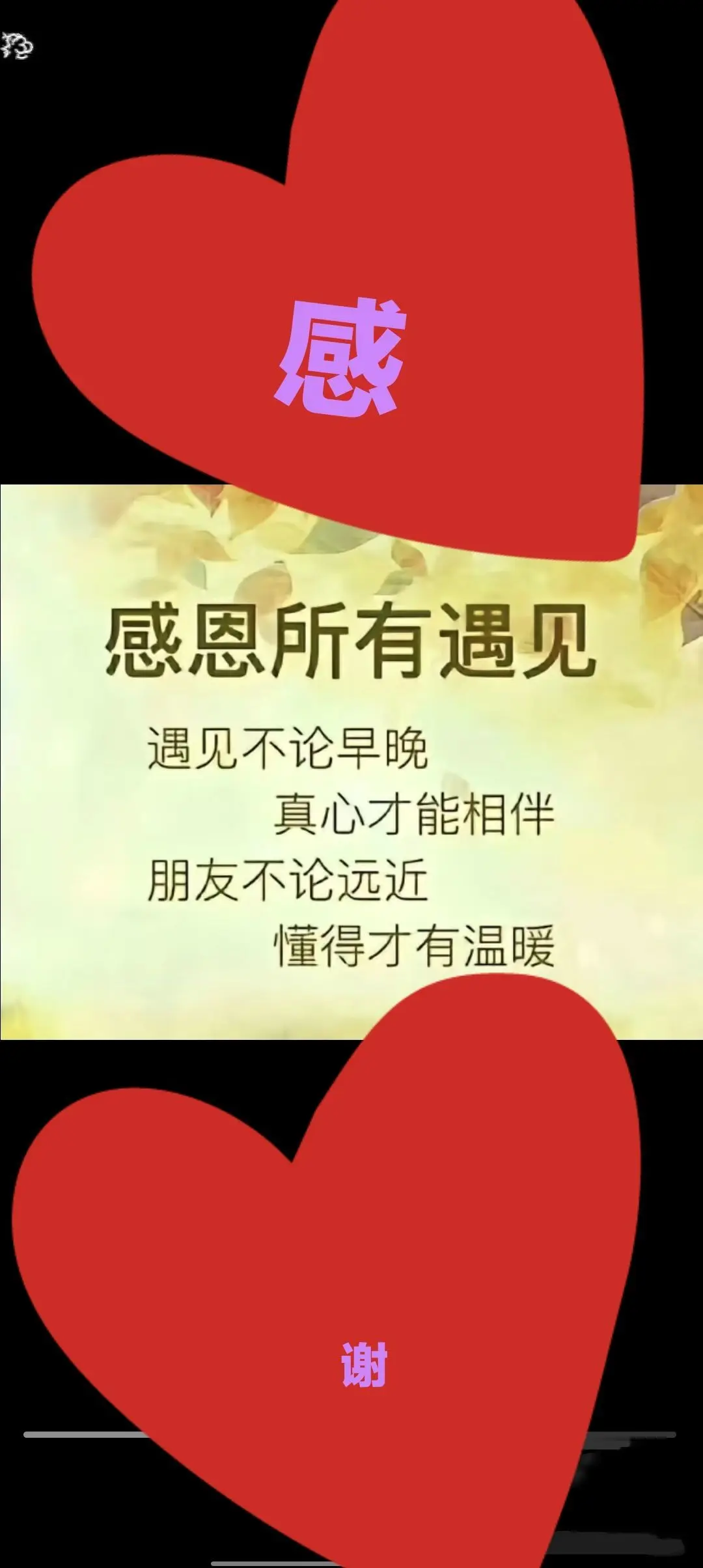 感恩感谢@主播图片